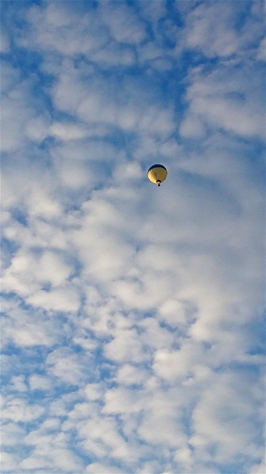 Vehicle Air