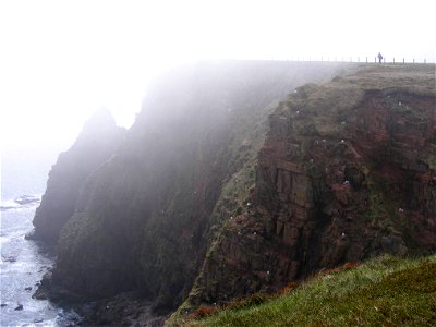 Rock Cliff photo