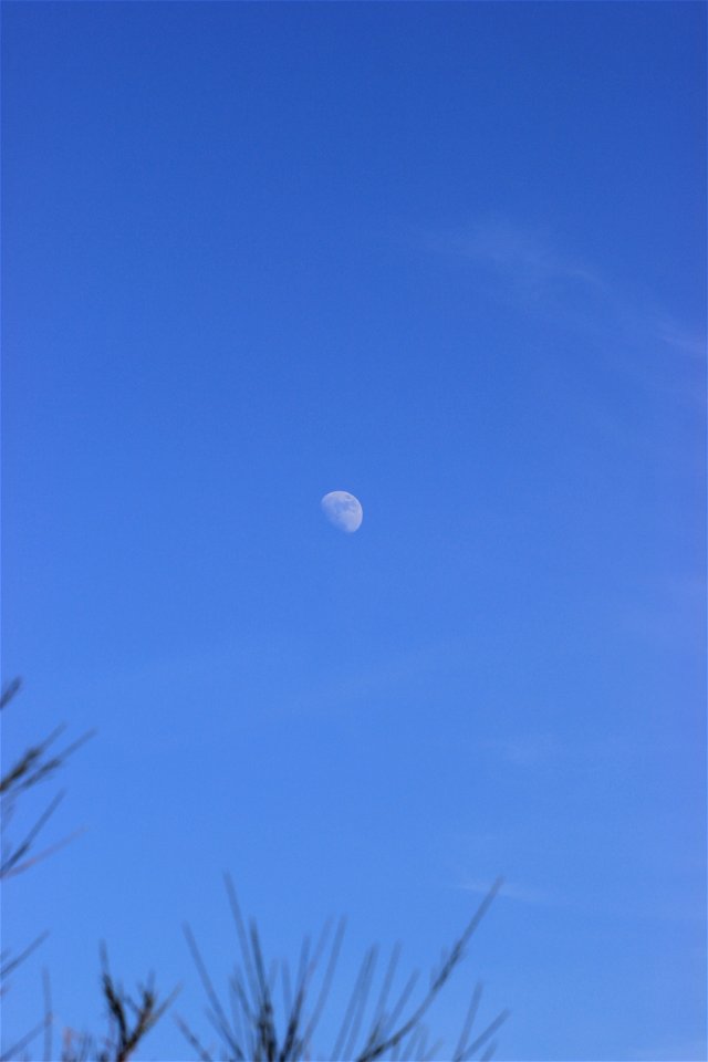 Assets Sky