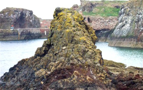 Sea Edge