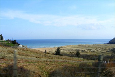 Sea Edge