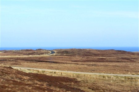Sea Edge
