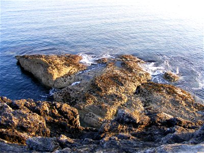 Sea Edge
