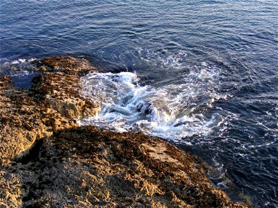 Sea Edge