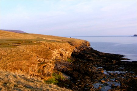 Sea Edge