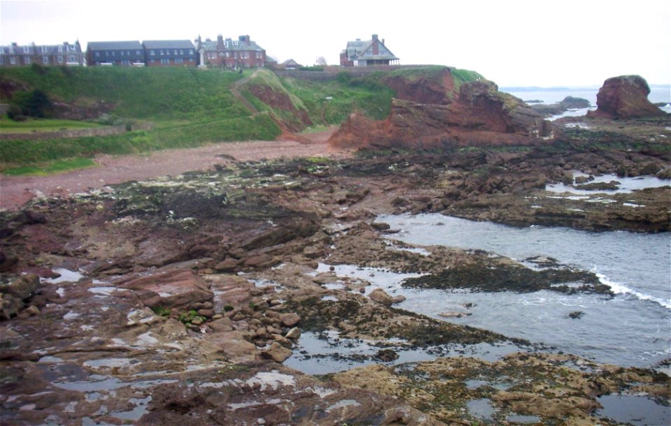 Sea Edge