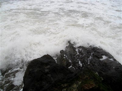 Sea Edge photo