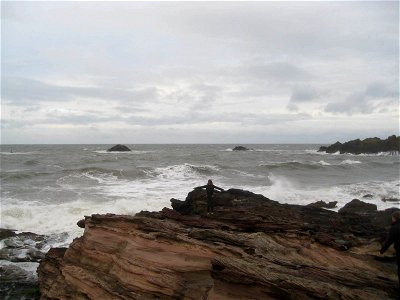 Sea Edge