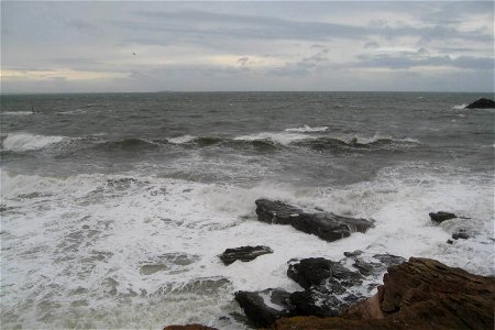 Sea Edge photo