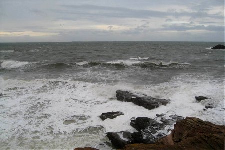 Sea Edge