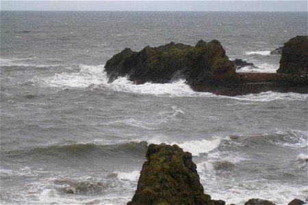 Sea Edge photo