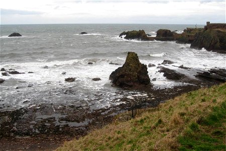Sea Edge