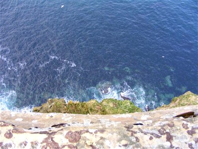 Sea Edge photo