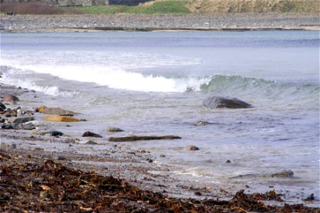 Sea Edge