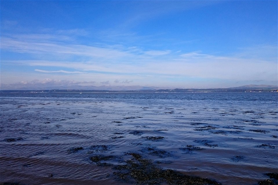 Sea Edge photo