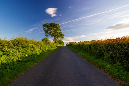Nature Edge