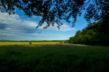 Nature Edge