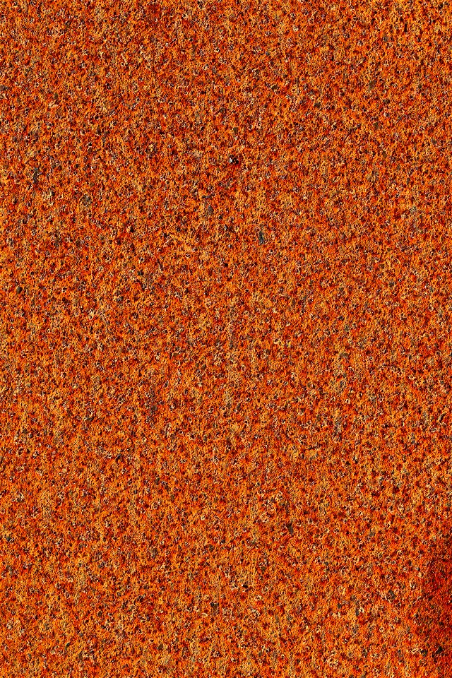 Rust Completely