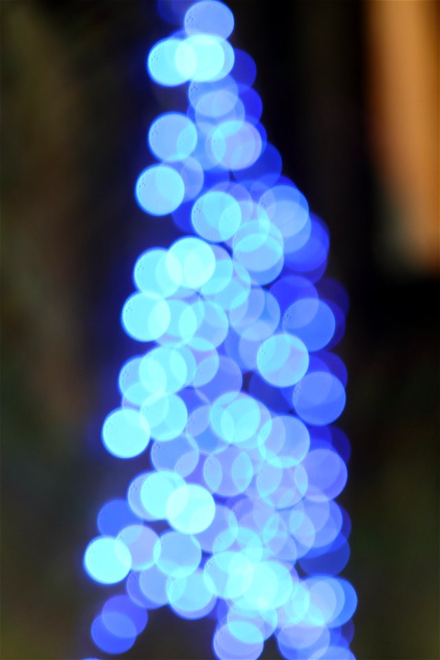 Bokeh photo