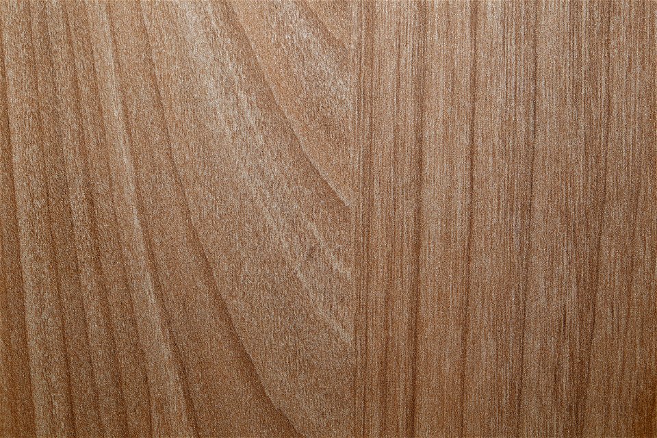 Wood Plain photo