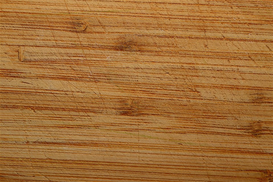 Wood Plain photo