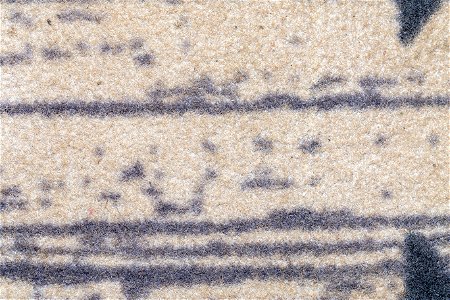 Fabric Synthetic