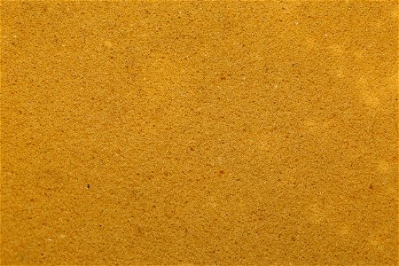 Fabric Synthetic
