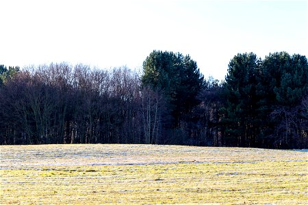 Nature Edge