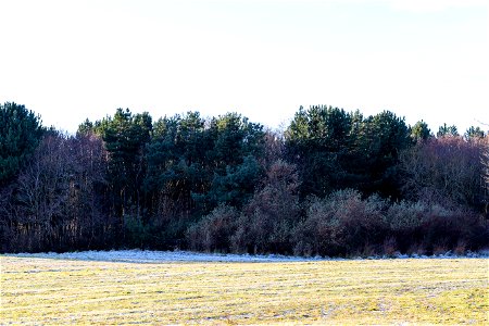 Nature Edge