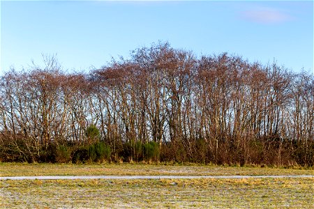 Nature Edge