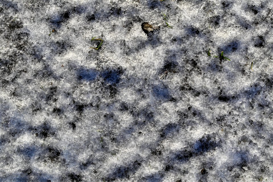 Water Ice and Snow