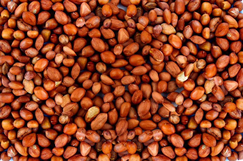 Delicious snack eat