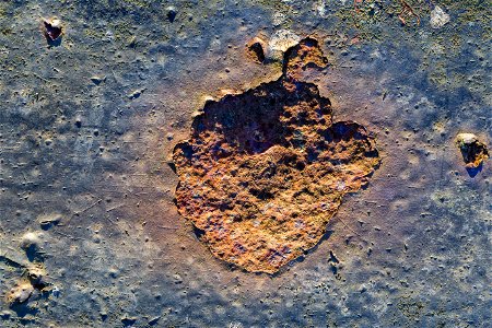 Rust Painted