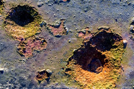 Rust Painted