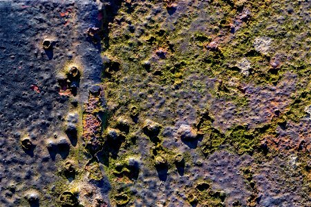Rust Painted