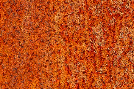 Rust Completely