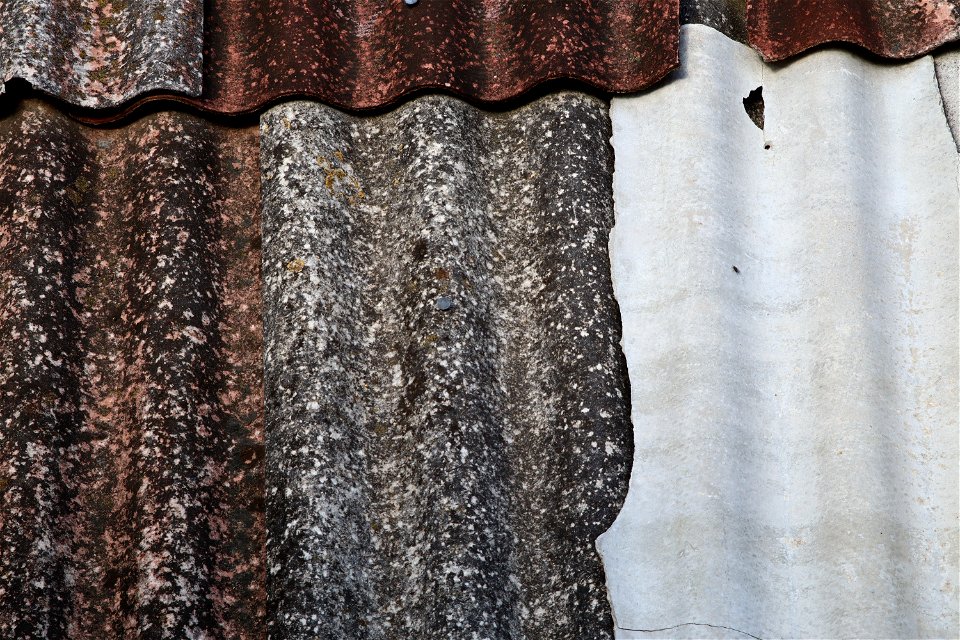 Roof Slate photo