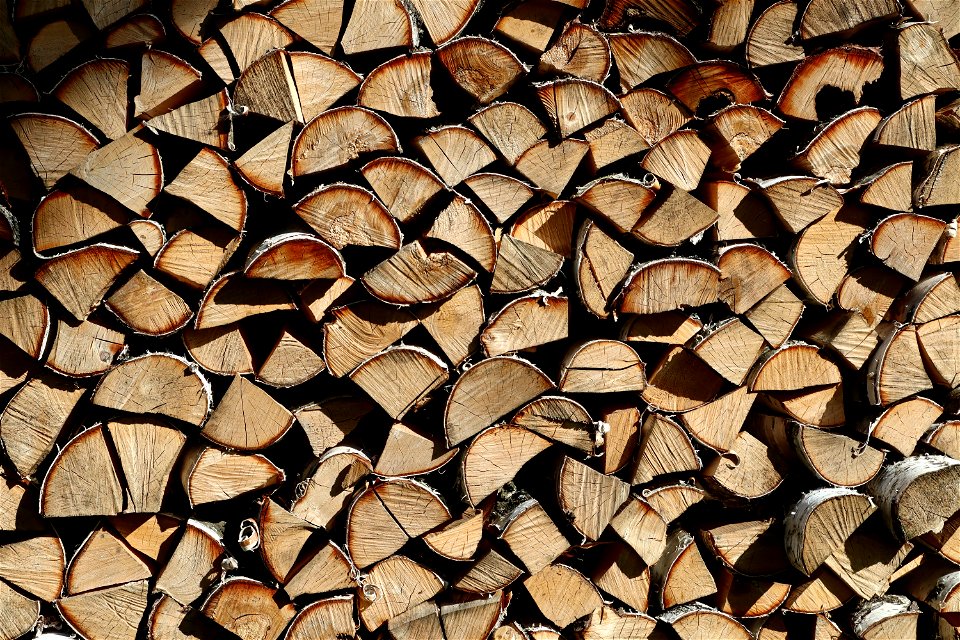 Wood Logs photo