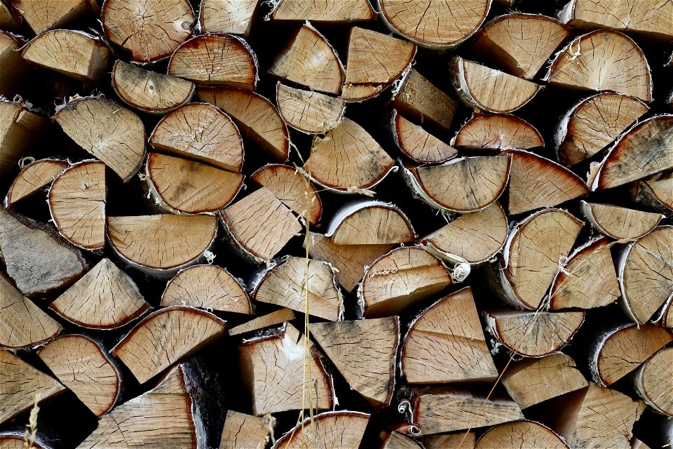 Wood Logs photo