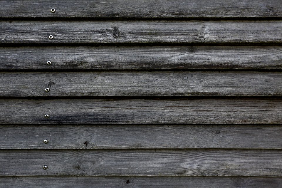 Wood Planks photo