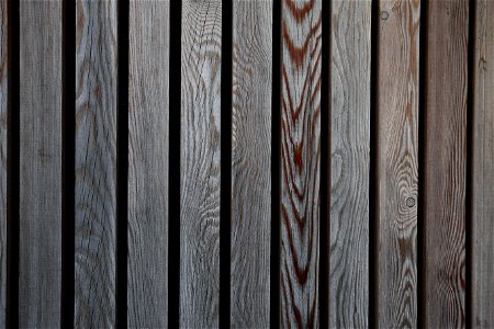 Wood Planks New