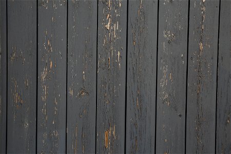 Wood Planks Old