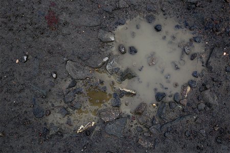 Water Puddle photo