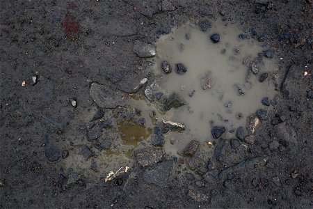 Water Puddle