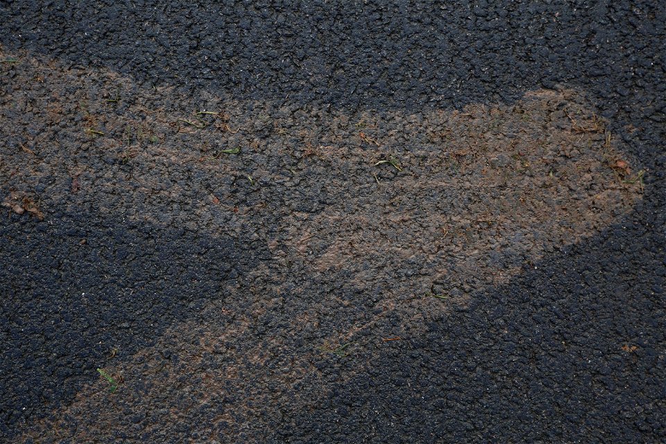 Tyre Tracks
