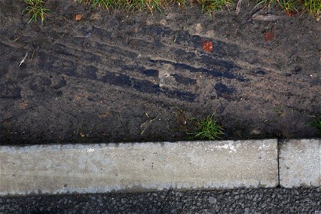 Tyre Tracks photo