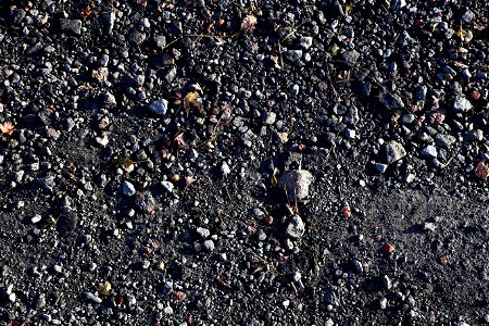 Soil Gravel