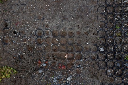 Soil Gravel
