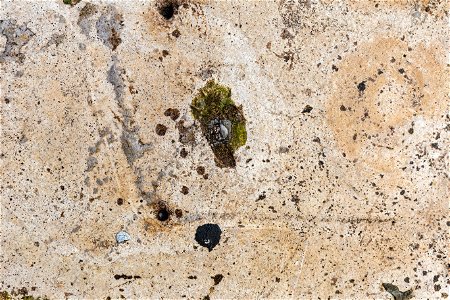 Concrete Damaged
