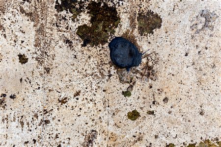 Concrete Damaged